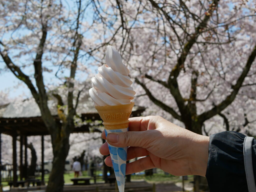 桜ソフトクリームです。