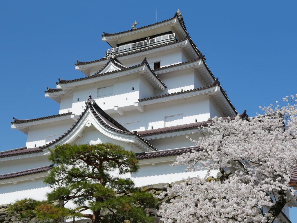 會津 鶴ヶ城 5月の桜が満開の時期