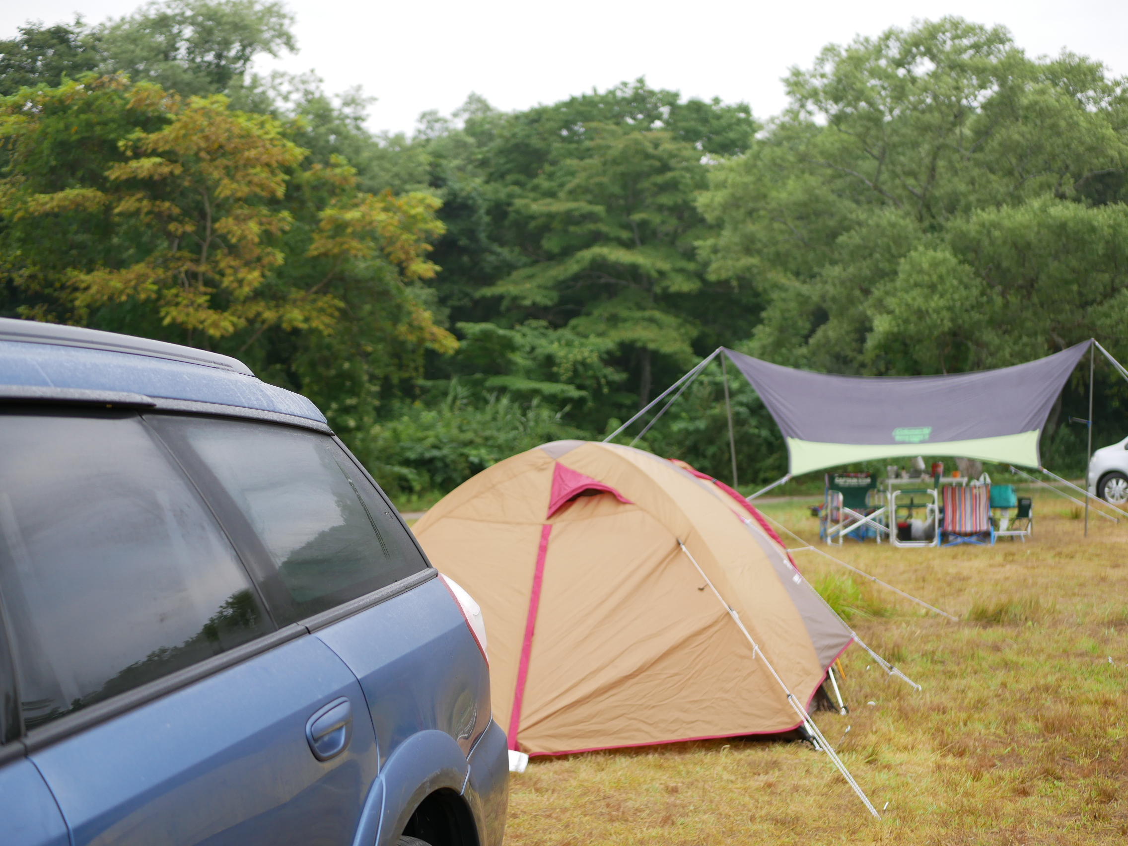 車中泊キャンプでタープ用の 頑丈なペグ が必要な理由 旅遊び 旅と遊びを楽しむために