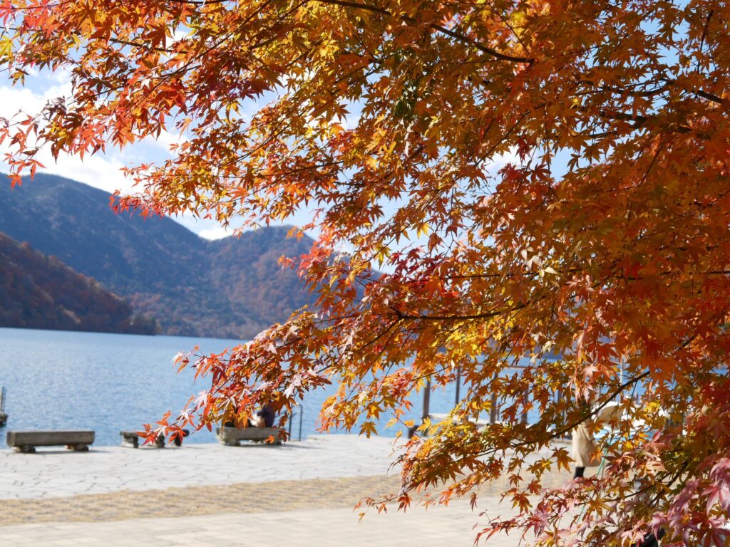中禅寺湖畔の紅葉